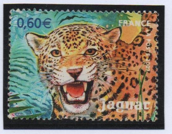 Jaguar