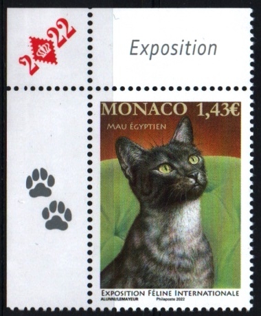 Expo Felina Internacional
