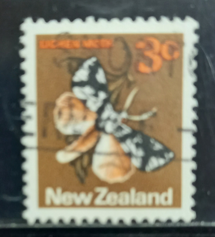 Nueva Zelanda-cambio