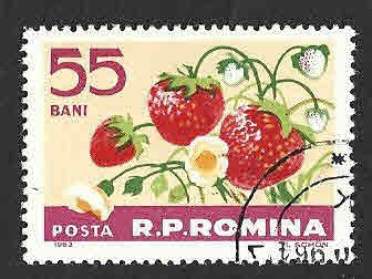 1570 - Fresas