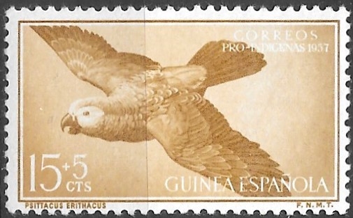 Guinea española