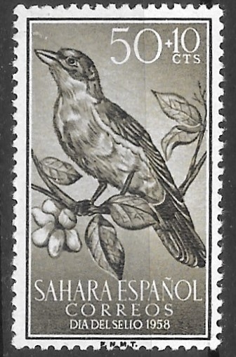 Sahara español