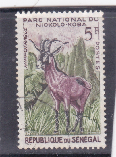 Parc  nacional de Niokolo-koba