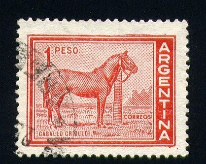 Caballo criollo