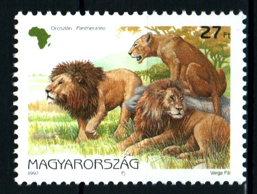 serie- Fauna africana