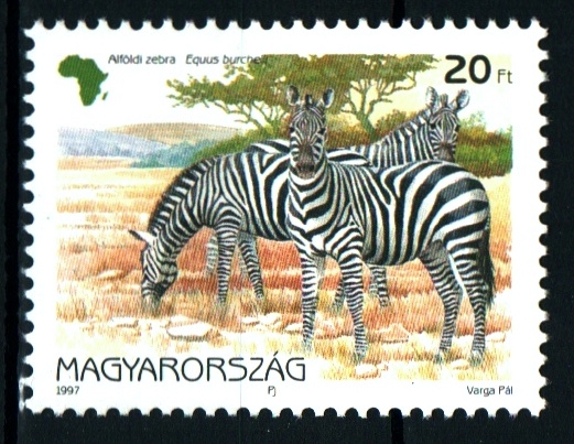 serie- Fauna africana