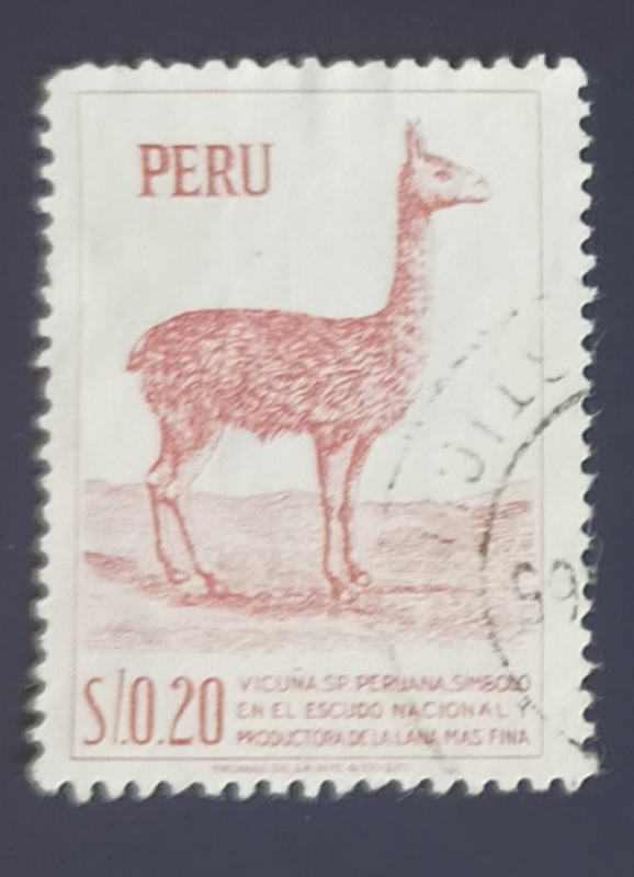 Vicuña