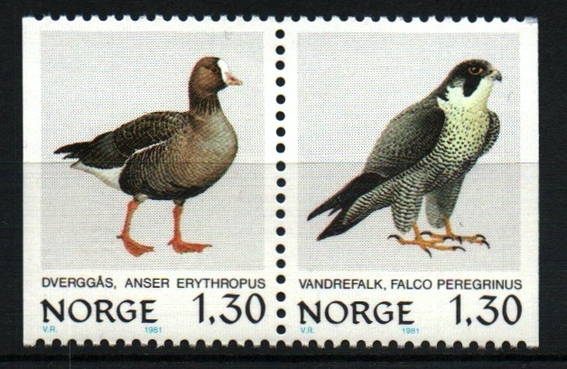 serie- Aves