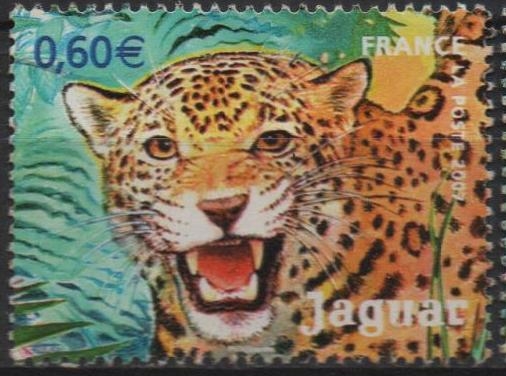 Jaguar