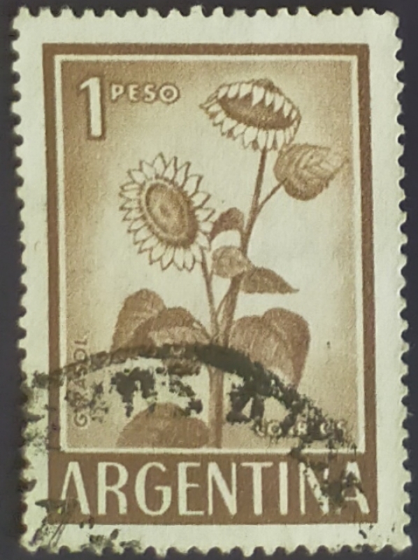 Girasoles