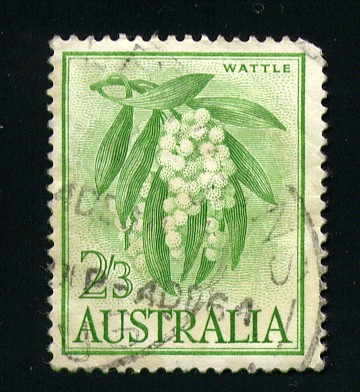 Wattle