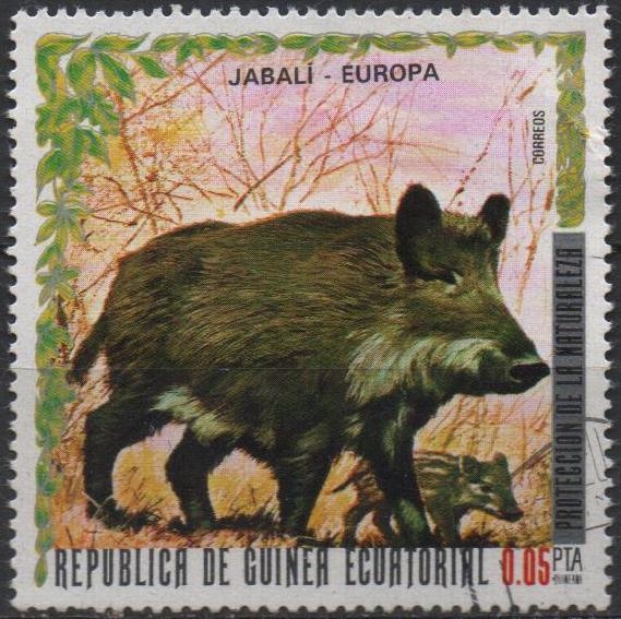 animales europeos. Jabalí