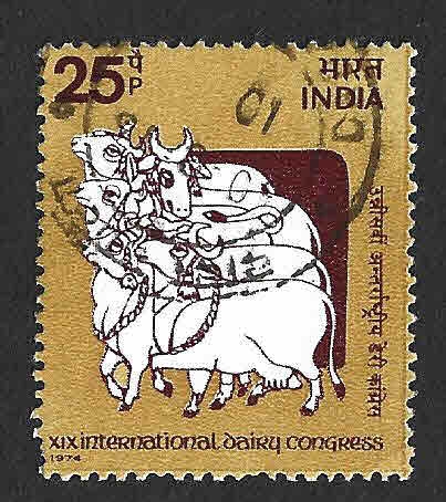 644 - XIX Congreso Internacional de Leche de Vaca