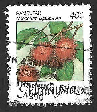 329 - Rambután