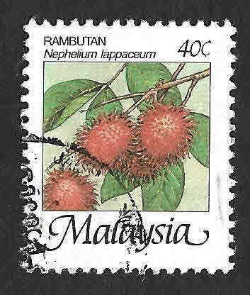 329 - Rambután