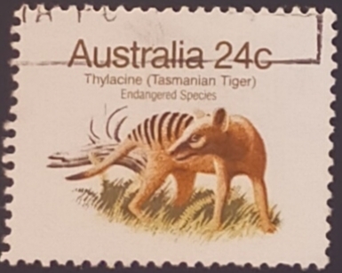 Tigre de Tasmania