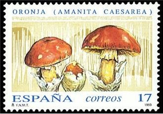 ESPAÑA 1993 3245 Sello Nuevo Micología Setas, Mushrooms Oronja Michel3103 Scott2701