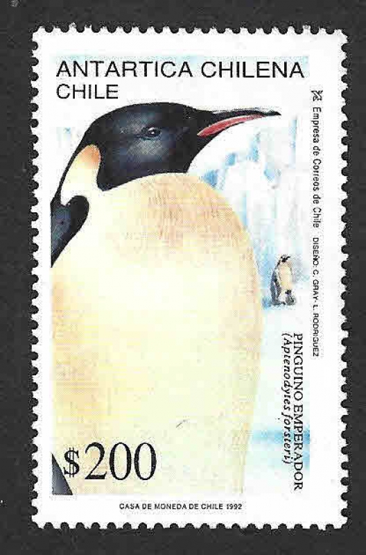 1020 - Pingüino Emperador