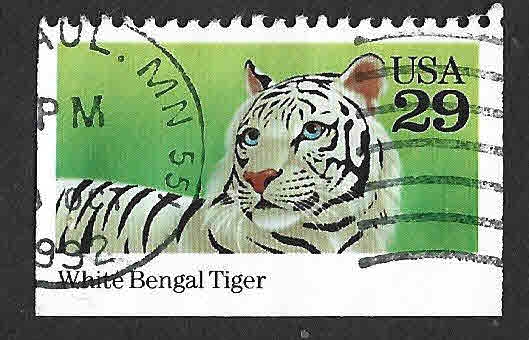 2709 - Tigre Blanco de Bengala