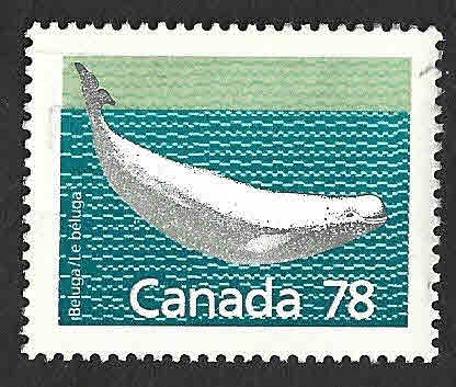 1179 - Ballena Beluga