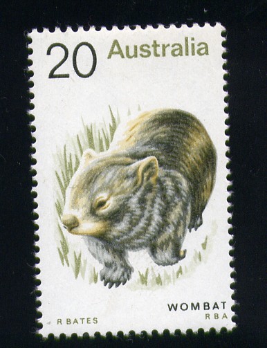 Wombat común