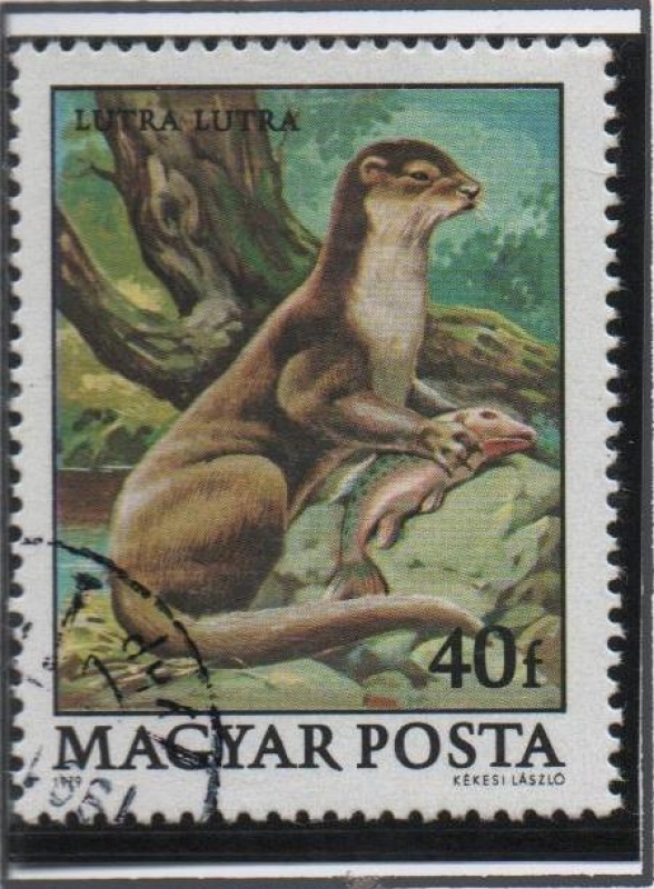 Protecion d' l' Fauna: Nutria