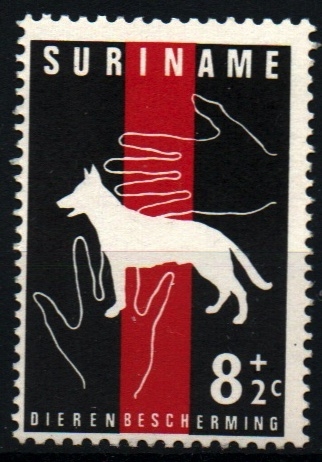 serie- Fundación protección animal