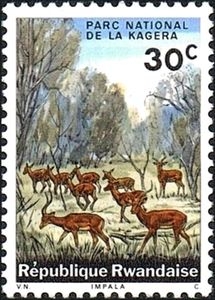 Parque Nacional Kagera, Impala (Aepyceros melampus)