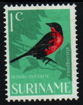 serie- Pajaros