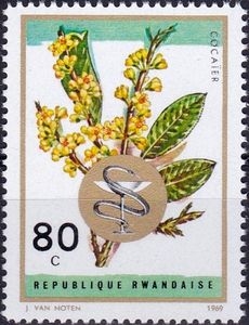 Plantas Medicinales, Copaifera officinalis
