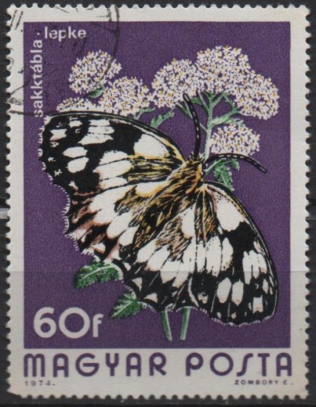 Melanatha Galathea