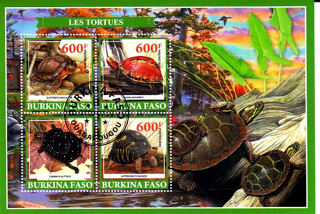 TORTUGAS