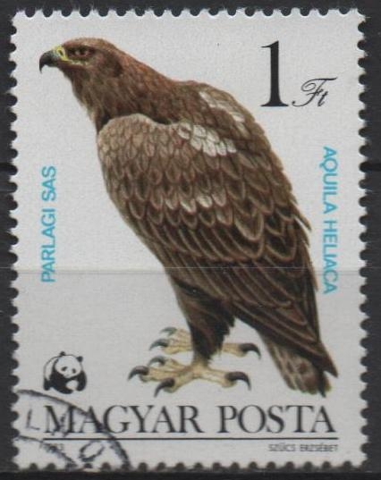 Aguila heliaca
