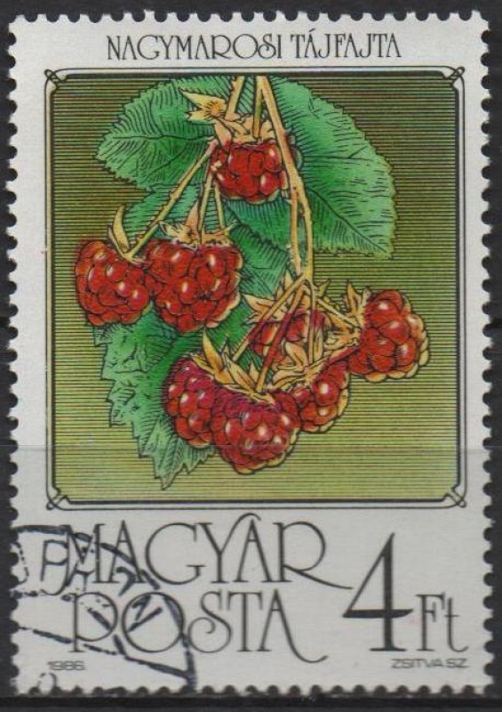 Frambuesas