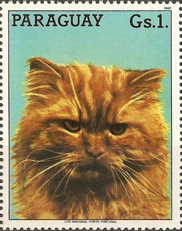 Gatos II
