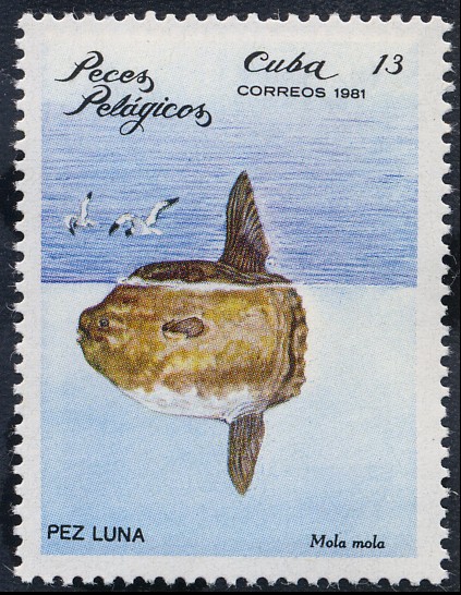 Peces pelágicos