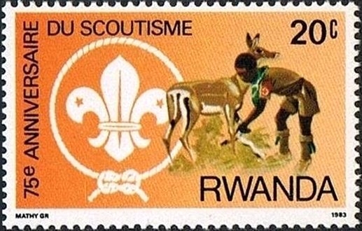 75 aniversario del Movimiento Scout, primeros auxilios animales