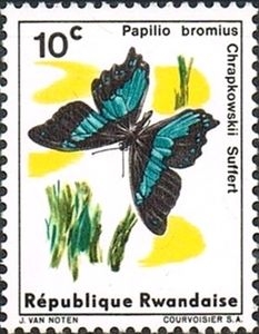 Mariposas (1965), cola de golondrina ancha de bandas verdes (Papilio bromius)