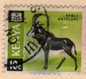 1966 Antilope sable