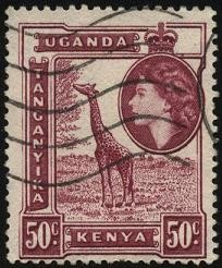 Kenia, Uganda, Tanganika, girafa.