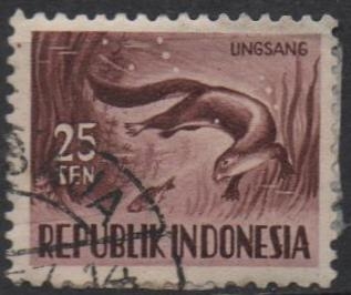 Nutria