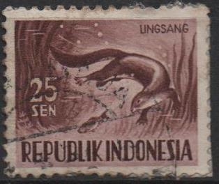 Nutria