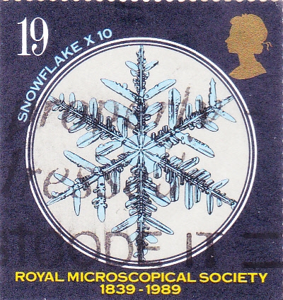 150 aniversario sociedad Real Microscòpica