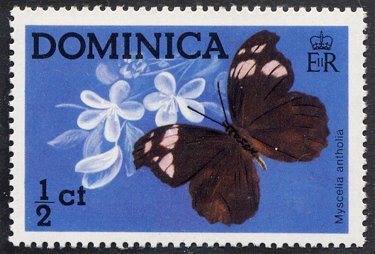 Mariposas