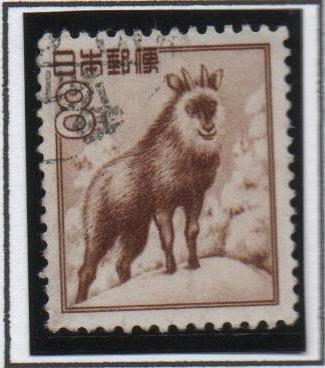 Serow Japones