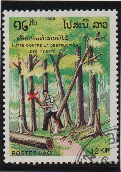 Lucha conta l' Destrucion d' Bosques, No Cortes Arboles