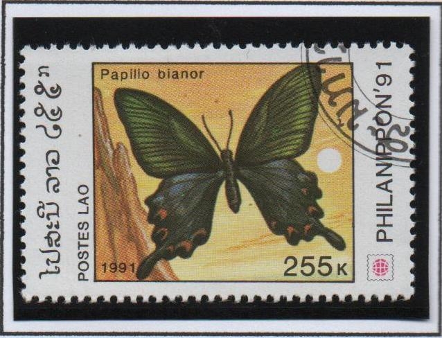 Mariposas;  Papilio Bianor