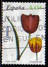 ESPAÑA 2008 4381 Sello Serie Flora y Fauna Flores Tulipán