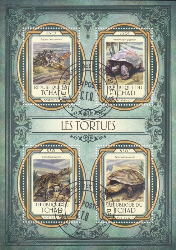 TORTUGAS