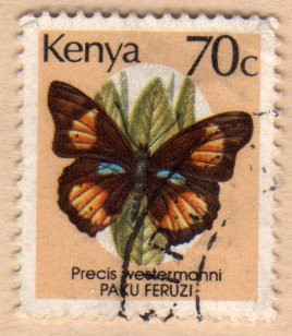 Mariposas